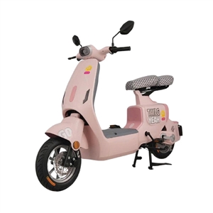 XE ĐẠP ĐIỆN TAILG - GR55